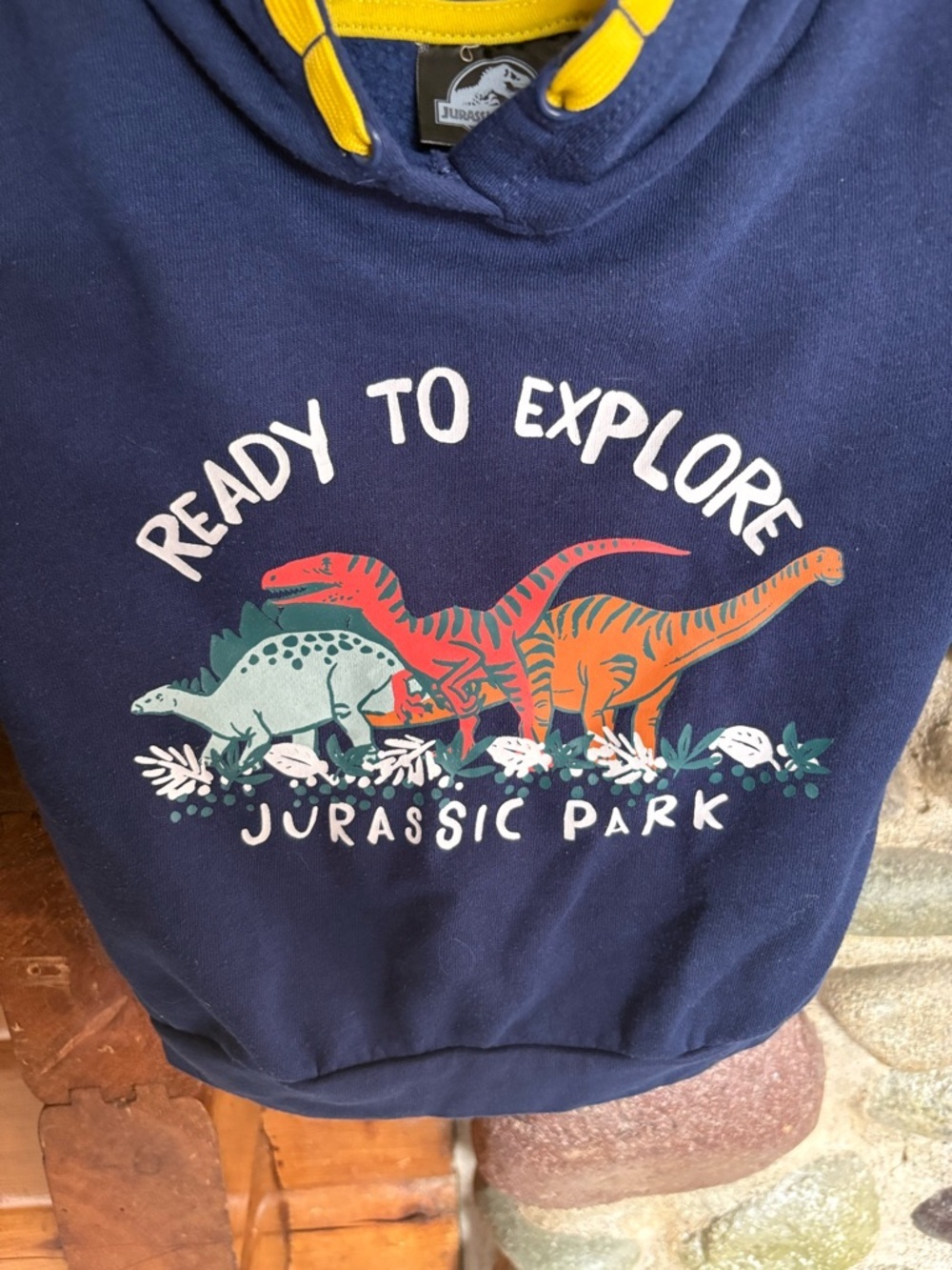 3/$25 🦖 Jurassic World “Ready to Explore” Hoodie - size 5T - Picture 3 of 7